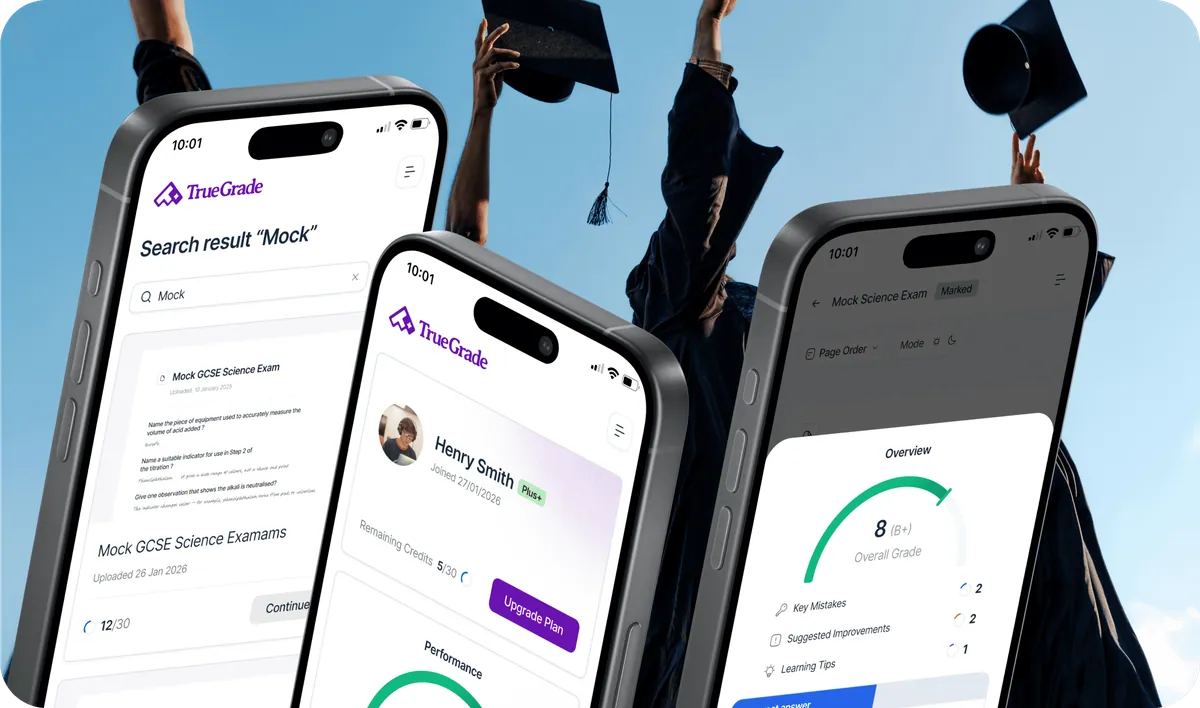 Brand Activation + MVP hero image