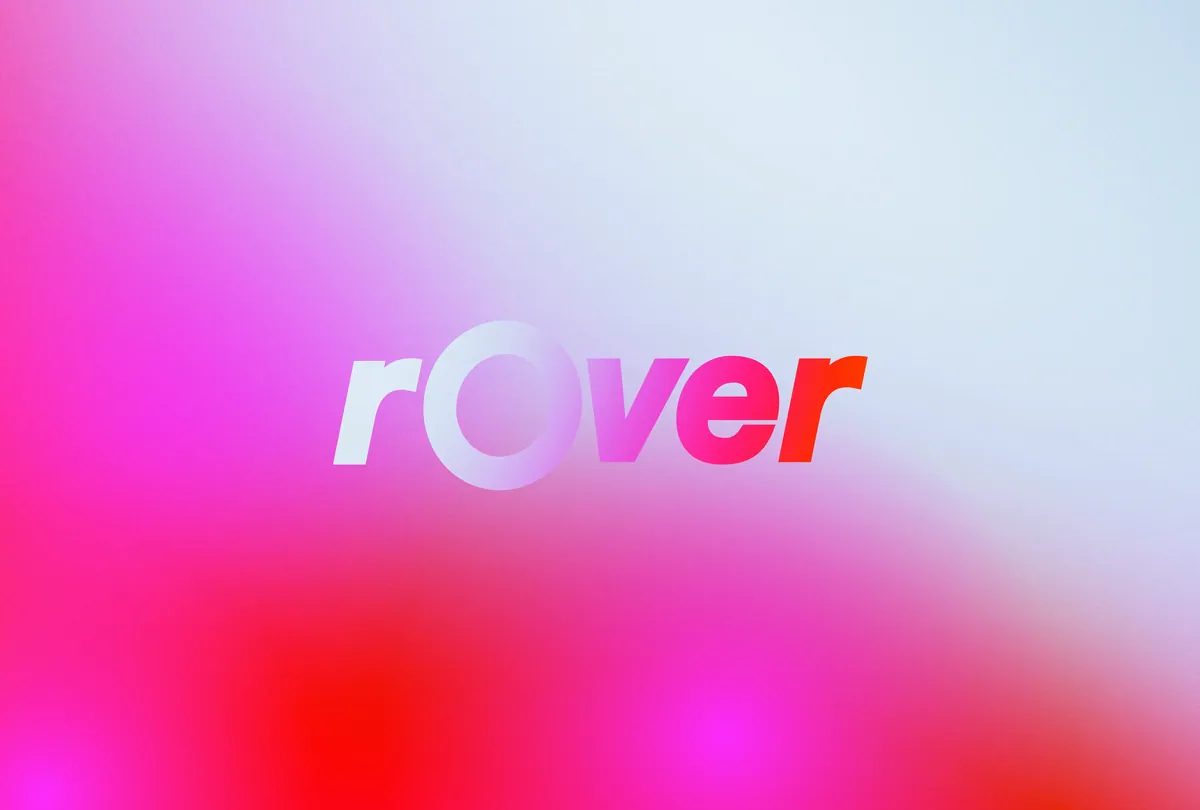 Rover: Challenges